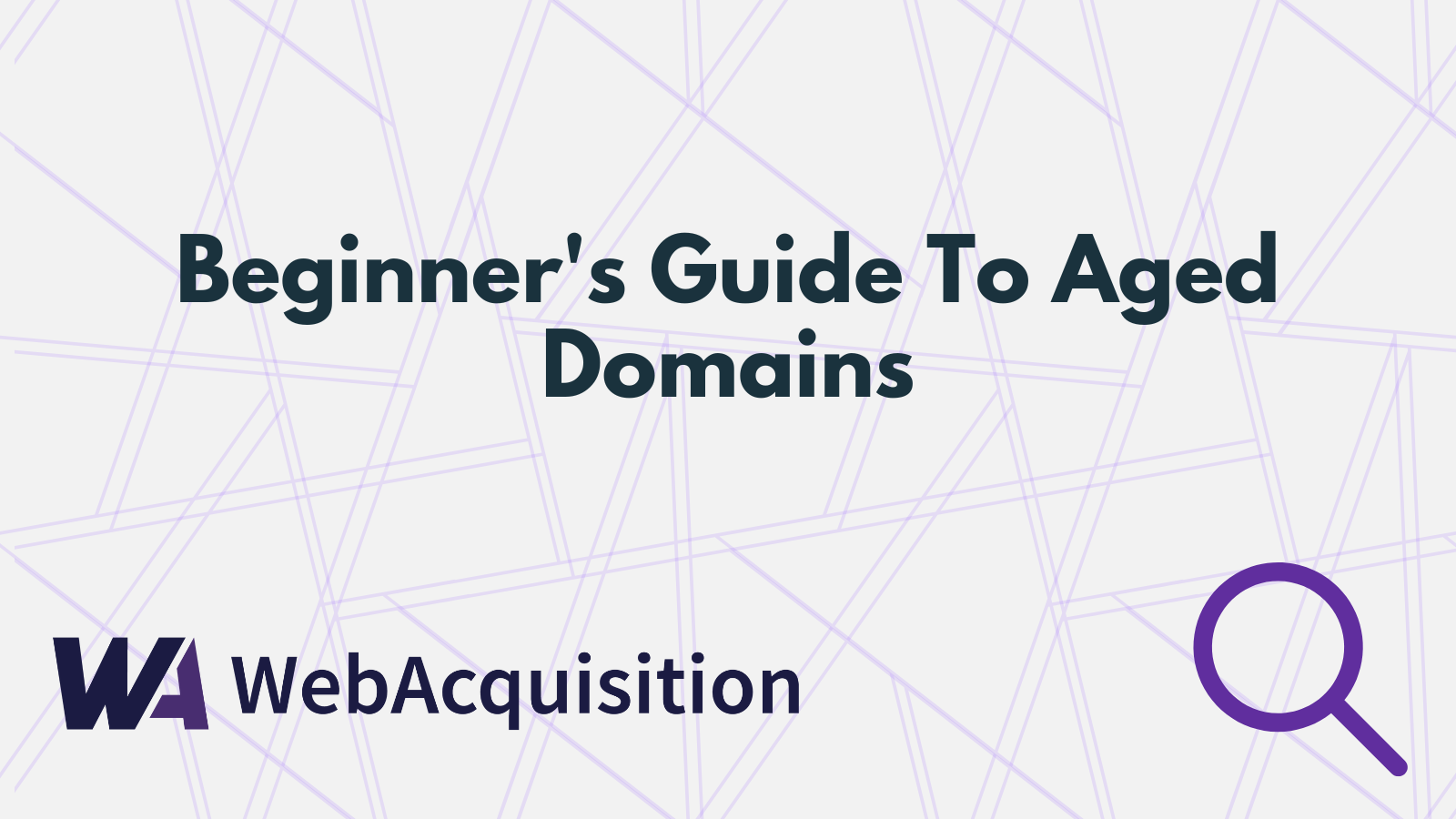 Beginner's Guide To Aged Domains