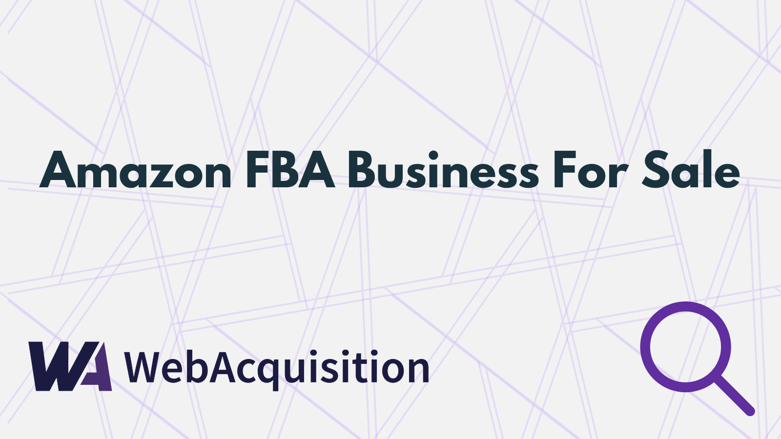 Amazon FBA Business For Sale